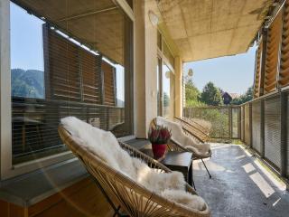 Apartment Čertovka-2 by Interhome - Harrachov - 0