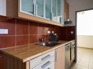 Apartment Čertovka-2 by Interhome - Harrachov - 4