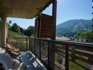Apartment Čertovka-2 by Interhome - Harrachov - 6