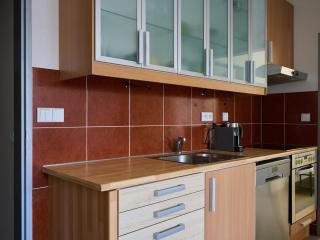Apartment Čertovka-2 by Interhome - Harrachov - 3