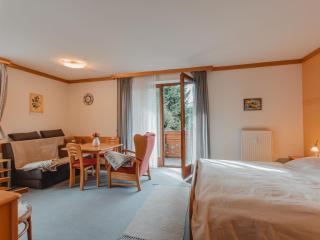 Studio Schmuckstück by Interhome - Bad Hofgastein - 1