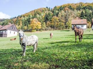 Holiday Home Green Valley Park Stárkov 14 by Interhome - 1