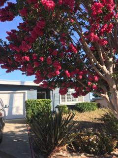 Room 1 - Fremont - 2