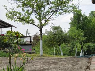 Babilina Hostel & Campsite - Navenakhevi - 8