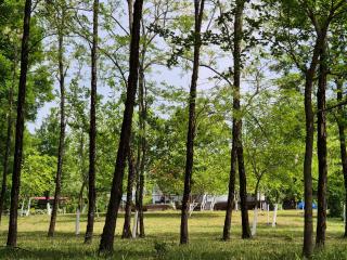 Babilina Hostel & Campsite - Navenakhevi - 1