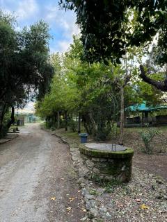 La Casona De Jaraiz - Jaraiz de la Vera - 4
