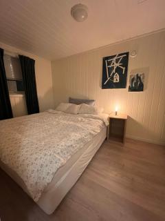 Flott leilighet, nydelig natur - gratis parkering - 3