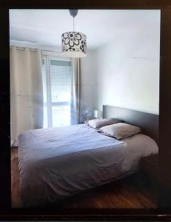 Chez Pascal Sissi -Grand Appart,Ile Nantes, CCgrés - Nantes - 8