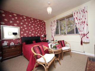 The Limes - York - 1