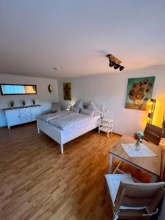 cozy apartment free parking AC - Heidelberg - 8