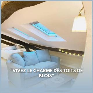 Le Grenier - Blois hyper centre - Blois - 0