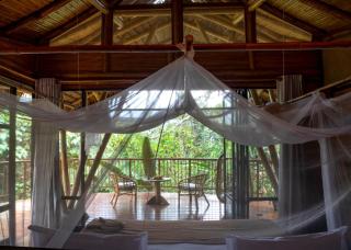 Bosque Guardian Lodge - Tarapoto - 7