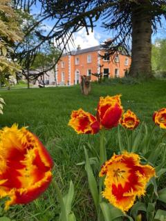 Clone House Event Villa - Aughrim - 8