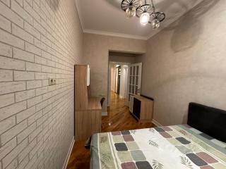 Winter park - Baku - 3