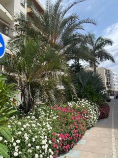 Mare e Golf - Casares - 1