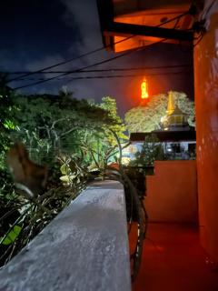Malsha Villa - 2