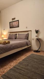 Bunkhouse & Apartments - 3