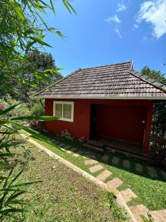 green pepper grove - Munnar - 8
