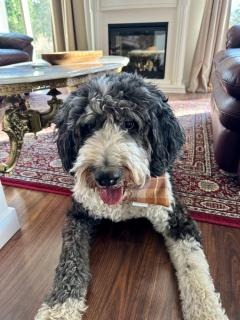 Licensed Pet Friendly Suite on Haskap Farm - 8