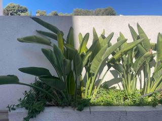 Le Loft de Mel à l'Estaque - atypique & vue mer - 4