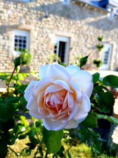 gîte en campagne Lamégritnière - 0