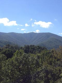summers dream log cabin - Luray - 5