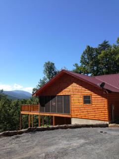 summers dream log cabin - Luray - 1