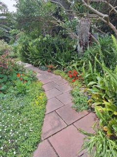 House Forget Me Not - Bredasdorp - 4