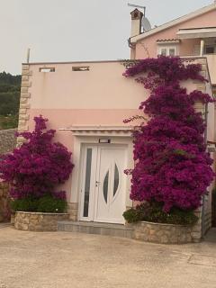 Apartmani Ivana - Cres - 9