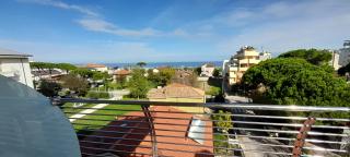 Hotel Marbella - Cervia - 4