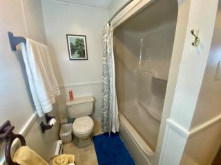 Secluded Au Sable River Home - Grayling - 5