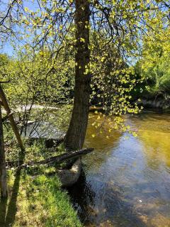 8 Acres on Betsie River River front Trails Disc golf - Thompsonville - 1