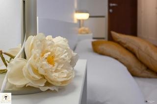 Inn Pisa Rentals - The Modern City Flat - Pisa - 1