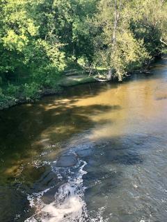 8 Acres on Betsie River River front Trails Disc golf - Thompsonville - 2
