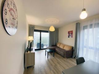 Comfortable Penthouse Burakowska - Warsaw - 8