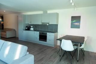 Lyngen Experience Apartments - Nord-Lenangen - 9