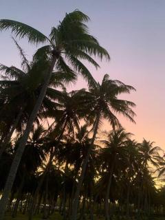 Bungalow sur la Passe de Tiputa - 4