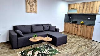 Apartmani TimeOut - 6