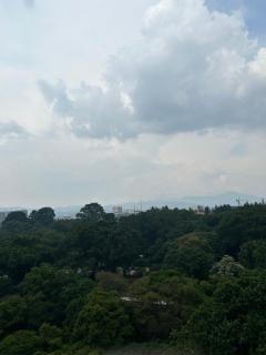 The Jarrdin Apartment By Gold Suites Property - Bandung - 6