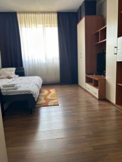 Garso Fabricii - Someşeni - 0