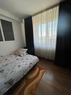 Garso Fabricii - Someşeni - 2
