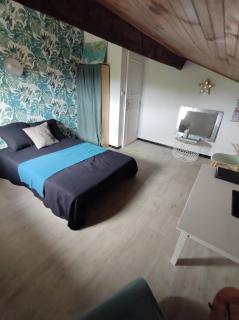 Chambre et salle de bain - Lescar - 1