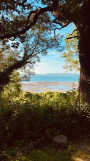 Le Mistral, vue mer à 5min de Trouville Deauville - 8