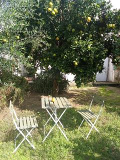 You have to love Amarante - Amarante - 2