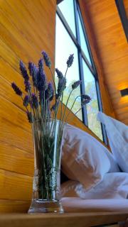 Cabana Tempo - 2h30H de SP - Vista Única - Cama King - Banheira - Luxo - Santo Antônio do Pinhal - 5