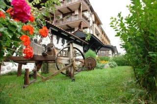 Molerite Complex - 9