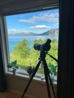 Unique, beautiful, spectacular - Kvaløya - 8