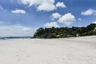 Whangapoua waves - 4