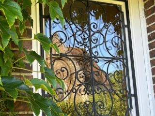 Grande maison de charme avec jardin clos, idéale pour familles et amis, au cœur du Perche - FR-1-581-94 - 0