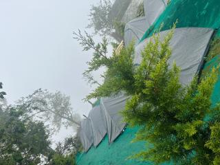 Rima leisure Resort Suryanelli - Munnar - 2